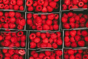 Bunch Of Raspberries Wallpaper