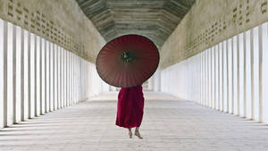 Burma Monk Carrying An Umbrella Wallpaper
