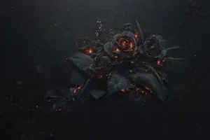 Burning Dark Hd Flowers Desktop Wallpaper