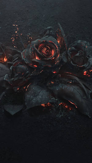 Burning Roses 4k Ultra Iphone Wallpaper