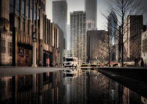 Bus On Street Of Chicago Wallpaper