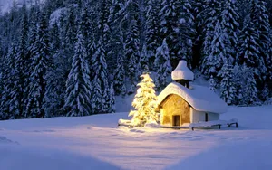 Cabin By A Christmas Forest Wallpaper