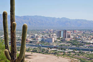 Cactus And The Tucson View Wallpaper