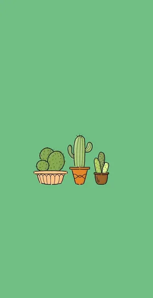 Cactus Plants In A Pot On A Green Background Wallpaper
