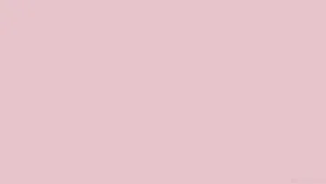 Calming Pink Solid Color Wallpaper Wallpaper