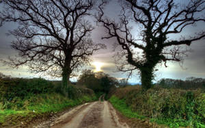 Calming Sunset Stroll Down A Country Road. Wallpaper
