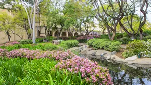 Caltech Garden And Pond Wallpaper