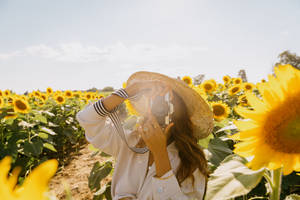 Camera In The Sunflower Field Wallpaper