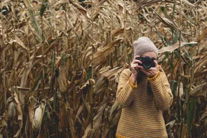 Camera In The Tall Grass Wallpaper