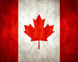 Canada Day Maple Flag Wallpaper