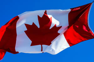 Canadian Zoomed In Flag Wallpaper