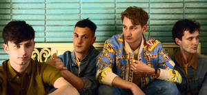 Candid Glass Animals Wallpaper