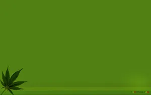 Cannabis Leaf Edge Pattern Wallpaper