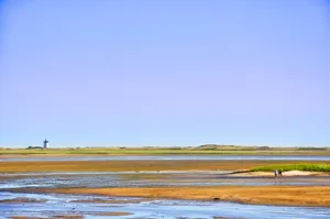 Cape Cod During Low Tide Wallpaper