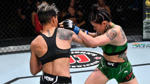 Caption: Amanda Lemos In Fight Stance Wallpaper