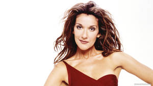 Caption: Celine Dion Stunning In A Black Gown Wallpaper