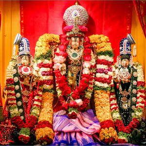 Caption: Divine Blessing Of Lord Venkateswara Wallpaper