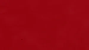 Caption: Elegant Maroon Artistry Iphone Wallpaper Wallpaper