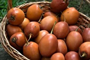 Caption: Exotic Tamarillo Fruits In A Rustic Basket Wallpaper