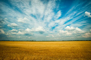 Caption: Heavenly Clouds In Vintage Aesthetic Wallpaper