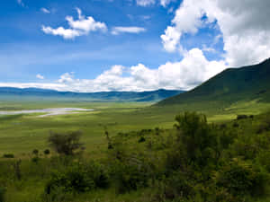Caption: Majestic View Of Ngorongoro Crater In Northern Tanzania Wallpaper