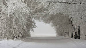 Caption: Majestic Winter Landscape Wallpaper