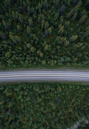 Caption: New Ipad 2021 With Stunning Forest Road Wallpaper Wallpaper