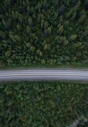 Caption: New Ipad 2021 With Stunning Forest Road Wallpaper Wallpaper