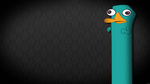 Caption: Phineas And Ferb With An Elongated Perry The Platypus Wallpaper