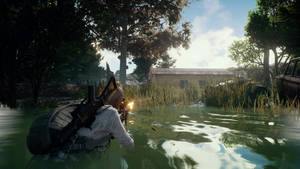 Caption: Player's Unknown Battleground Swamp Hd Scene Wallpaper