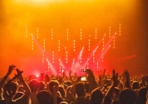 Captivating Music Festival Moments Wallpaper