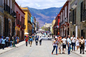 Captivating Oaxaca Tourist Area Wallpaper