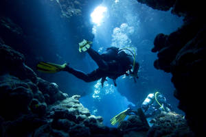 Captivating Scuba Diving In Sesimbra, Portugal Wallpaper