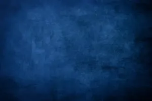 Captivating Silhouette Of Trees During Nightfall Wallpaper