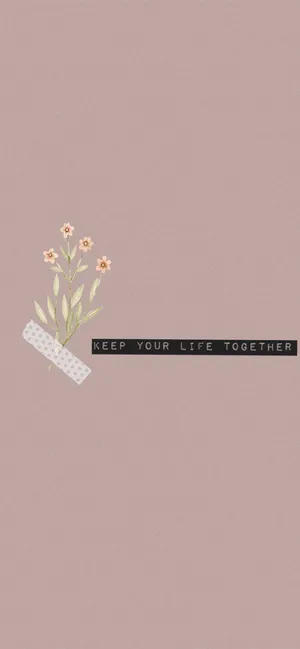 Capturing The Beauty Of Minimalism With An Iphone Wallpaper