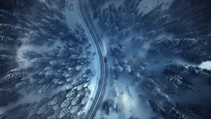 Capturing The Beauty Of Winter In A Forest Wallpaper