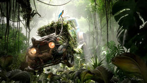 Car & Parrot In The Wild Wallpaper