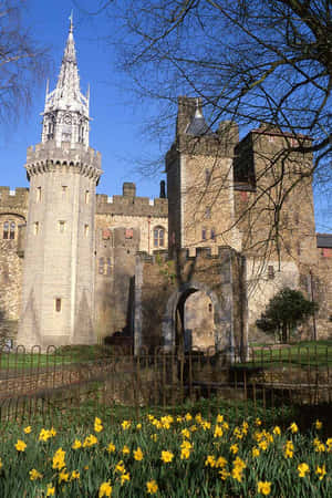 Cardiff Castle Hd Wallpaper Wallpaper