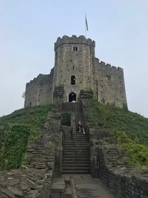 Cardiff Castle Ladder Wallpaper