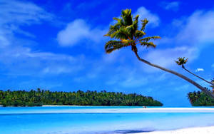 Caribbean Blue Beach Wallpaper