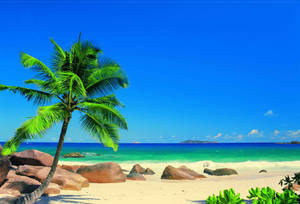 Caribbean Island Paradise Wallpaper