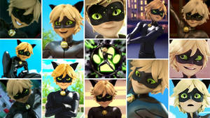 Cat Noir Collage Wallpaper