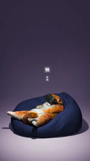Cat_ Virtual_ Reality_ Experience Wallpaper