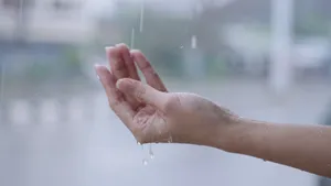 Catching Raindrops Hand H D Wallpaper