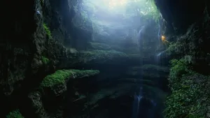 Cave Of Swallows Wallpaper