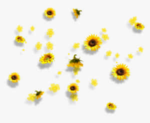 Celebrate The Beauty Of A Sunflower Yellow Summer Day With This Adorable Tumblr Aesthetic Wallpaper