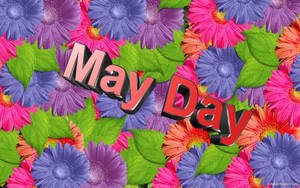 Celebrate The Beauty Of May With Vibrant Flowers Wallpaper