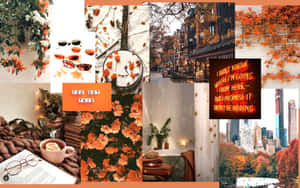 Celebrate The Fall Season With This Desktop Collage Wallpaper