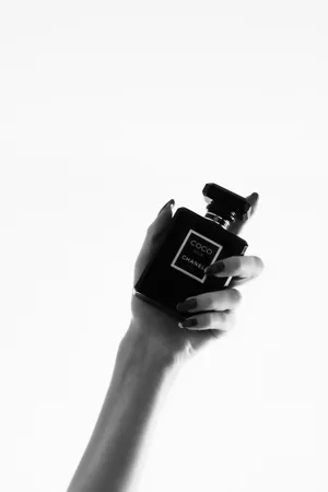 Chanel Noir With Hand Grayscale Wallpaper