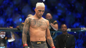 Charles Oliveira Looking Down Wallpaper